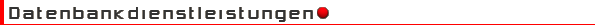 Datenbankdienstleistungen