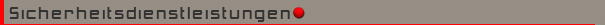 Sicherheitsdienstleistungen