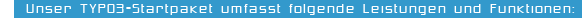Unser TYPO3-Startpaket umfasst folgende Leistungen und Funktionen: